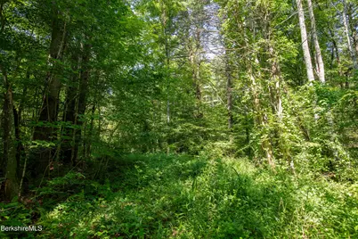 62 Hadsell St, New Marlboro, MA 01230 - Photo 5