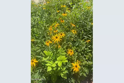 14 Blotz Rd, Washington, MA 01223 - Photo 13