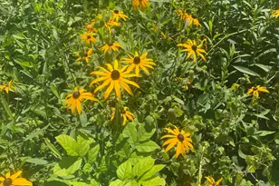 14 Blotz Rd, Washington, MA 01223 - Photo 13