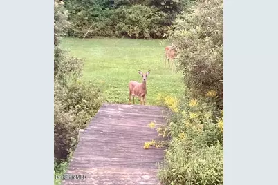 14 Blotz Rd, Washington, MA 01223 - Photo 51