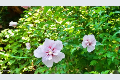 2 Lake Ave, Great Barrington, MA 01230 - Photo 35