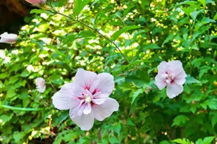 2 Lake Ave, Great Barrington, MA 01230 - Photo 35