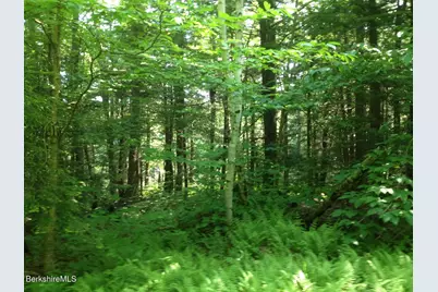 0 Trail Cir, Becket, MA 01223 - Photo 3