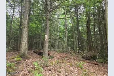 724 Moberg Rd, Becket, MA 01223 - Photo 7