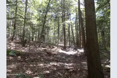 0 Moberg Rd, Becket, MA 01223 - Photo 5