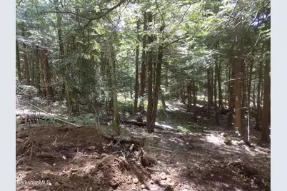 0 Moberg Rd, Becket, MA 01223 - Photo 7