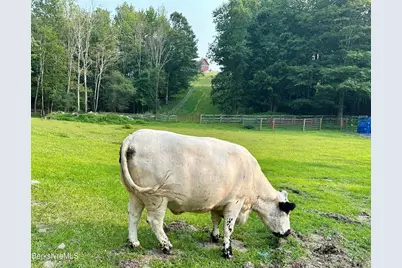 241 Cunningham Hill Rd, Canaan, NY 12029 - Photo 61