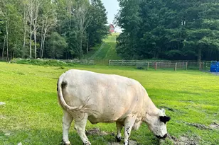 241 Cunningham Hill Rd, Canaan, NY 12029 - Photo 61