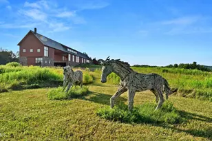 241 Cunningham Hill Rd, Canaan, NY 12029 - Photo 9