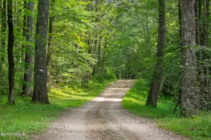 19 Roberts Rd, Sandisfield, MA 01255 - Photo 13