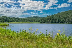 19 Roberts Rd, Sandisfield, MA 01255 - Photo 29