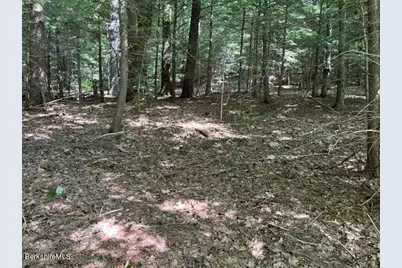 0 Goose Pond Rd, Tyringham, MA 01264 - Photo 9