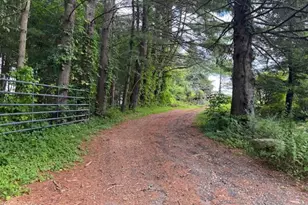 11 Rowe Rd, Alford, MA 01230 - Photo 3