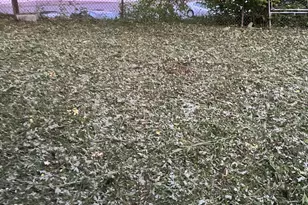 2 Valley St, Adams, MA 01220 - Photo 9