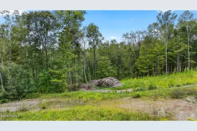 0 Miner Rd, Lanesborough, MA 01237 - Photo 5