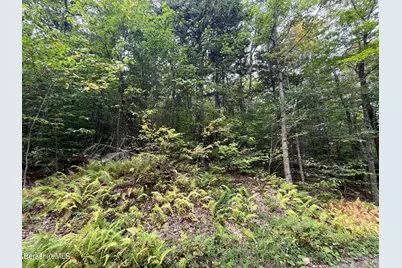 0 Manley Phelps Rd, Monroe, MA 01350 - Photo 17