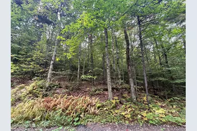 0 Manley Phelps Rd, Monroe, MA 01350 - Photo 9