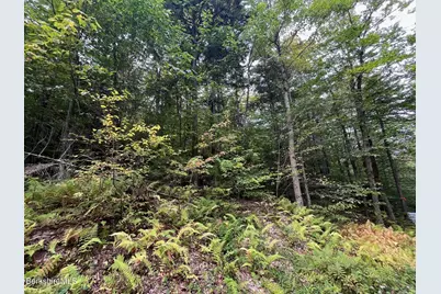 0 Manley Phelps Rd, Monroe, MA 01350 - Photo 15