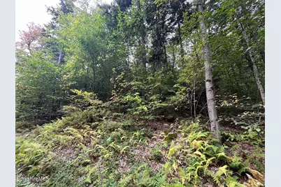 0 Manley Phelps Rd, Monroe, MA 01350 - Photo 13
