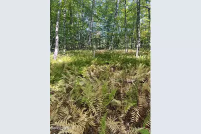 0 Central Shaft Rd, Florida, MA 01247 - Photo 3