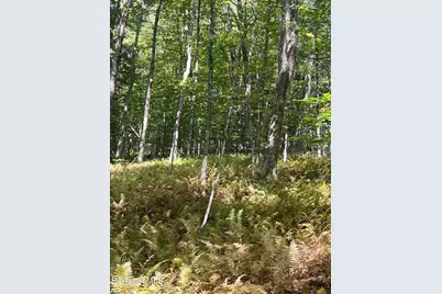 0 Central Shaft Rd, Florida, MA 01247 - Photo 1