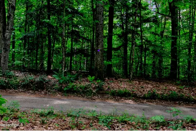 66 Scott Rd, Lanesborough, MA 01237 - Photo 15