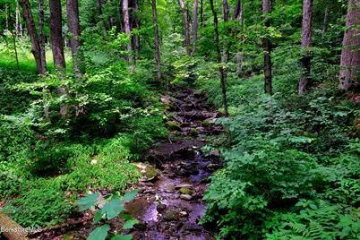 66 Scott Rd, Lanesborough, MA 01237 - Photo 3