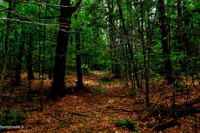 66 Scott Rd, Lanesborough, MA 01237 - Photo 13