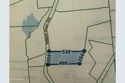 0 N Beech Plain Rd, Sandisfield, MA 01255 - Photo 3