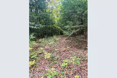 0 N Beech Plain Rd, Sandisfield, MA 01255 - Photo 7
