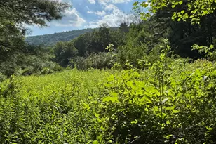 416 W Rd, Alford, MA 01266 - Photo 1