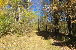 3124-3100 County Route 9 --, Canaan, NY 12029 - Photo 11