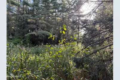 0 Gould Rd, Monterey, MA 01245 - Photo 7