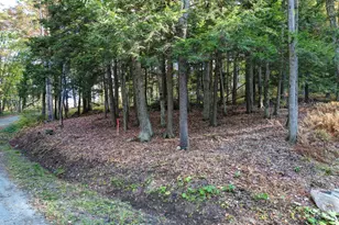 Lots 34-36 Lake View Rd, Peru, MA 01235 - Photo 1