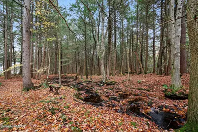 1178 Bancroft Rd, Becket, MA 01223 - Photo 39