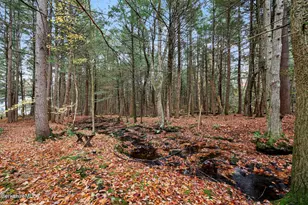 1178 Bancroft Rd, Becket, MA 01223 - Photo 39