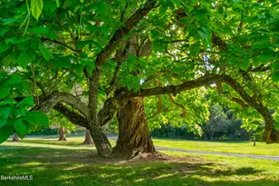 8 Webster Rd, Tyringham, MA 01264 - Photo 41