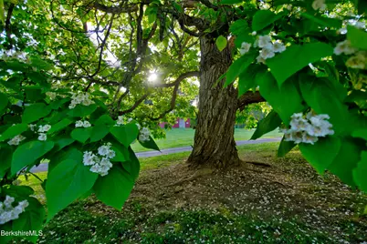 6 & 8 Webster Rd, Tyringham, MA 01264 - Photo 45