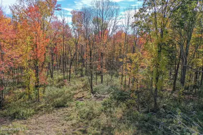0 Sisson Hill Rd, New Marlboro, MA 01244 - Photo 3