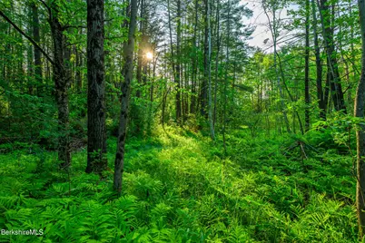 0 East St, Lenox, MA 01240 - Photo 7