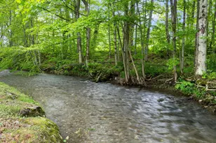 5 Victoria Ln, Lanesborough, MA 01237 - Photo 21