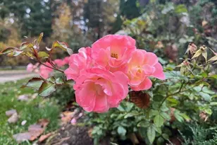 2 W Rose Ct, Great Barrington, MA 01230 - Photo 23