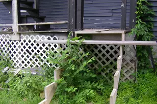 306 Union St, North Adams, MA 01247 - Photo 5