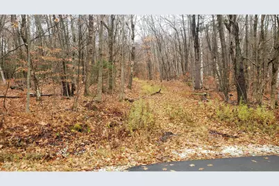 0 Stryker Rd, Florida, MA 01247 - Photo 3