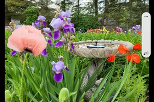 8 Samson St, Pittsfield, MA 01201 - Photo 45