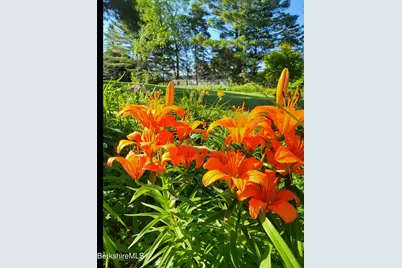 8 Samson St, Pittsfield, MA 01201 - Photo 35