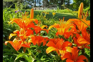 8 Samson St, Pittsfield, MA 01201 - Photo 35