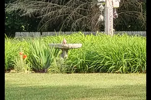 8 Samson St, Pittsfield, MA 01201 - Photo 39