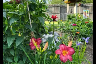 8 Samson St, Pittsfield, MA 01201 - Photo 33