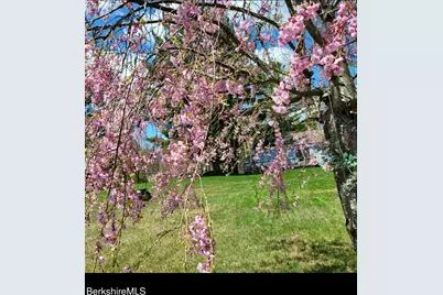 8 Samson St, Pittsfield, MA 01201 - Photo 51